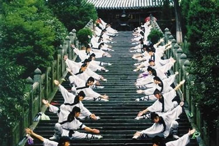广西藤县舞狮获得过什么奖项