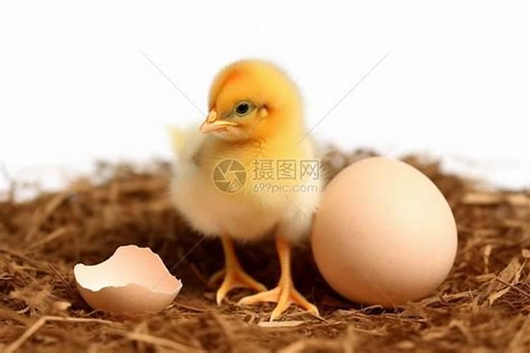 中国天气频道节气的三候都在什么时间播出？