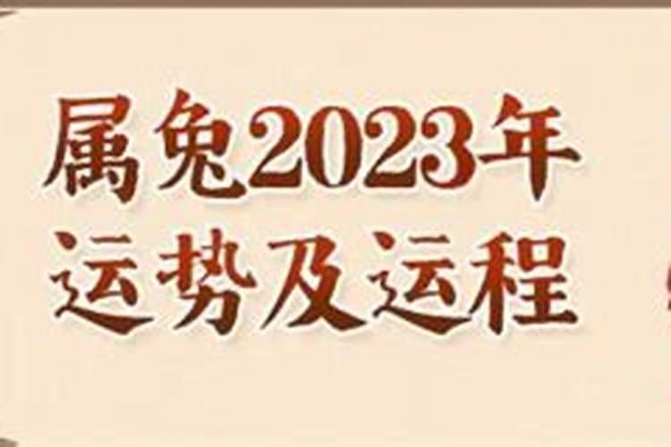 1975属兔2025年的运势及运程