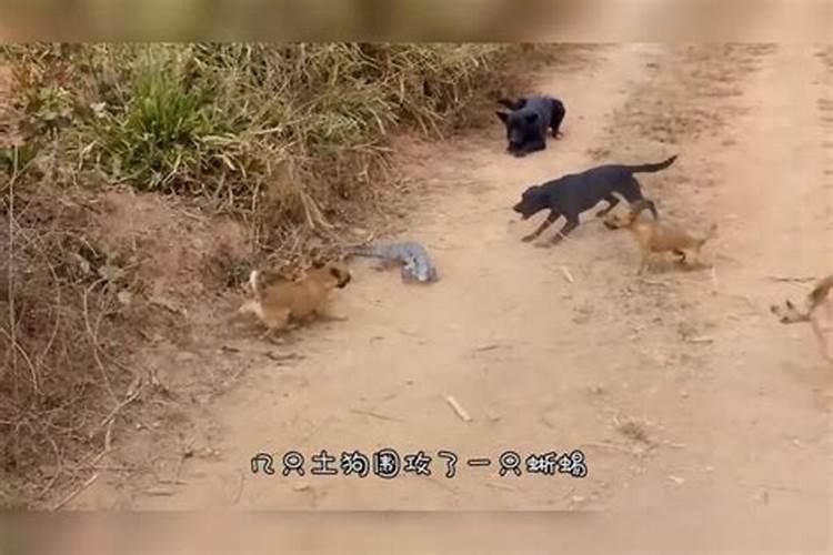 清明节吃什么食物