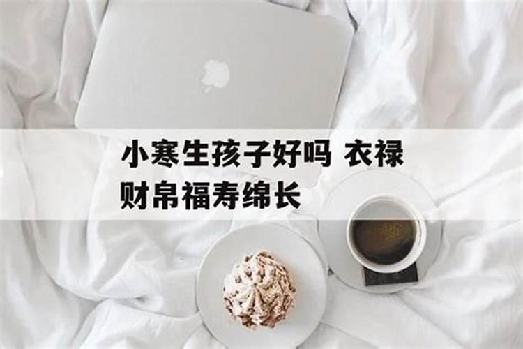 属兔正月出生好不好 属兔正月出生什么性格