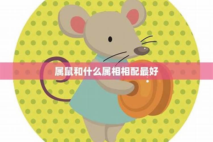 属鼠的婚配与什么属相相冲,属鼠的和什么属相最配和相克？