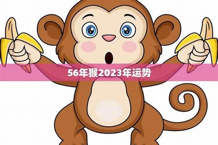 56年属猴的今年怎么样 56年属猴人2024年运势详解