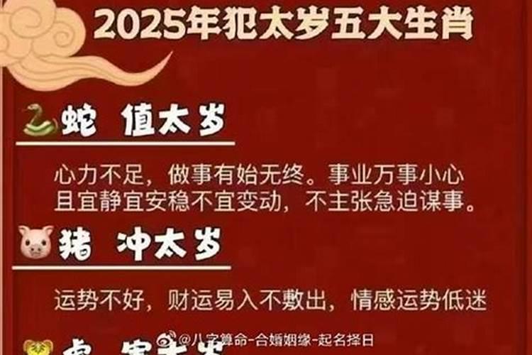 猪2025年冲太岁怎么化解
