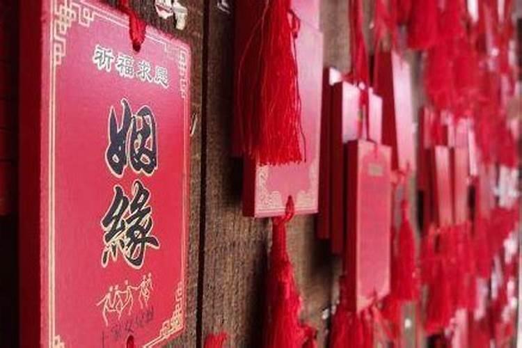 1999年属兔女士[26岁]2025年运势揭秘,看看每月的好运来袭