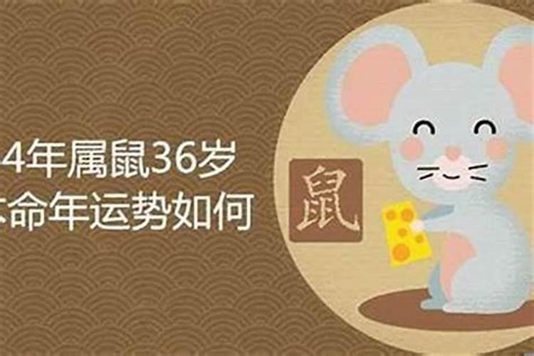 2025年具体属相需要躲春的原因是什么？