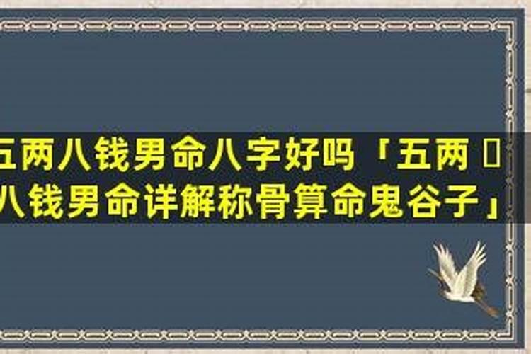 八字重量在五两五到七两一属于八字重吗？