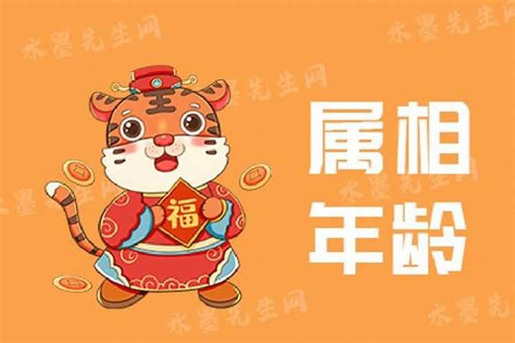 兔年属蛇的运势怎么样