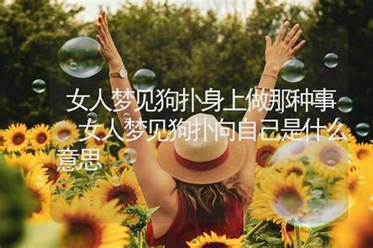 梦见美女向我问路