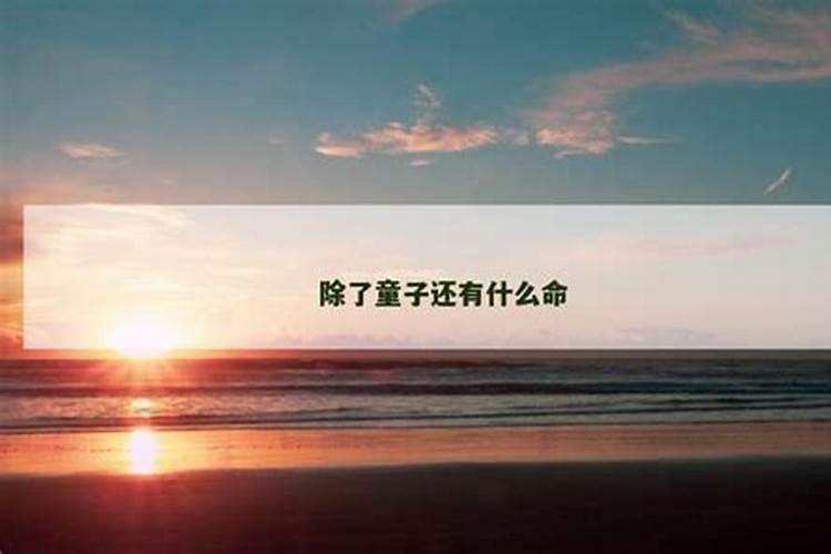 2002年属马人2025年运程