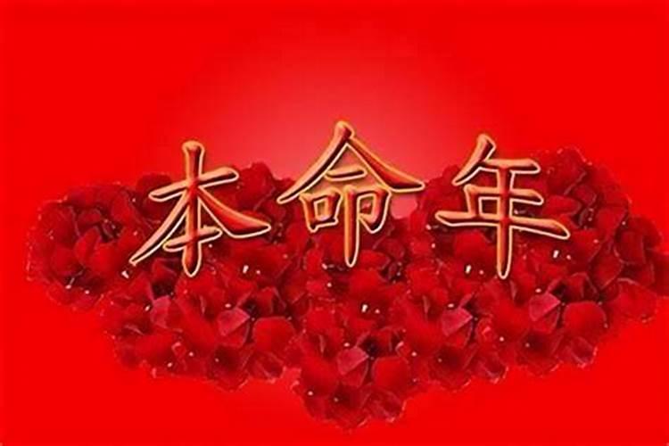 属鼠人在2025的运势如何