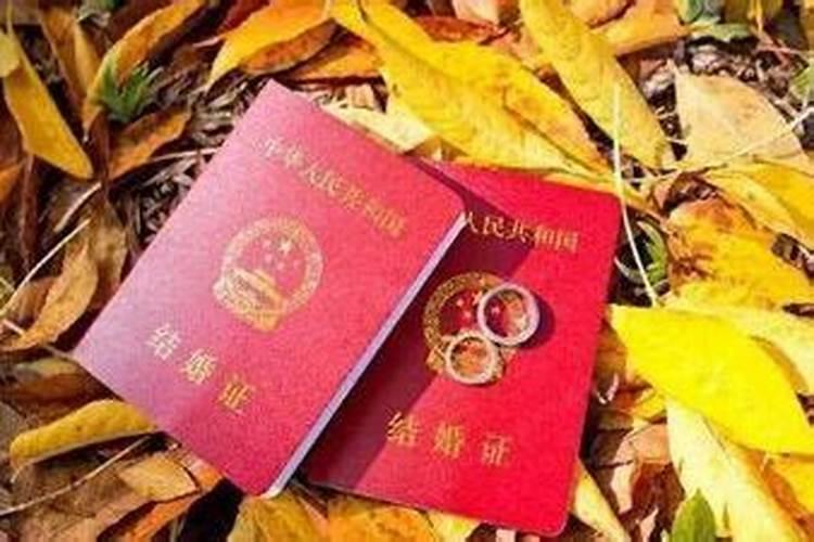生肖羊1991年2025年运势如何 生肖羊1991年2025年全年运势