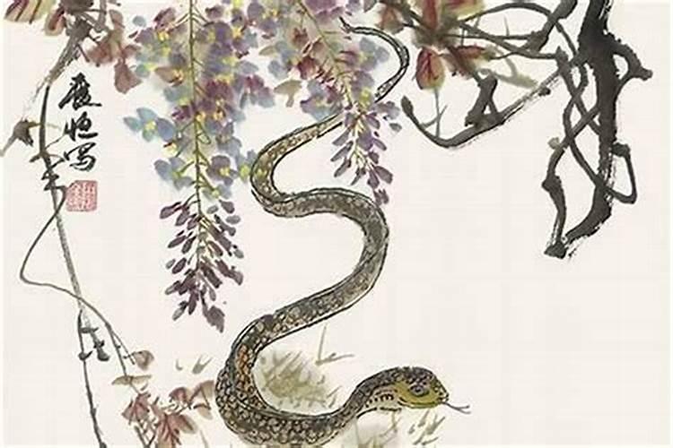 属狗和属虎的适合做夫妻吗