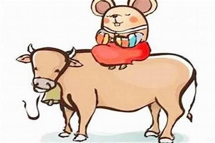 净空法师:婴灵的由来