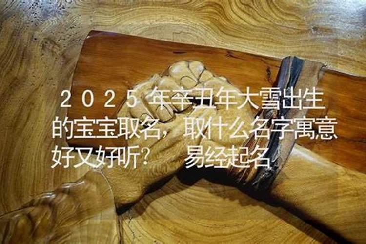 2025年1月5日小寒生的男宝宝五行属什么,男孩免费八字起名