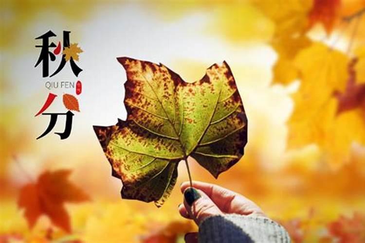 芒种火烧天.是什么谚语节气