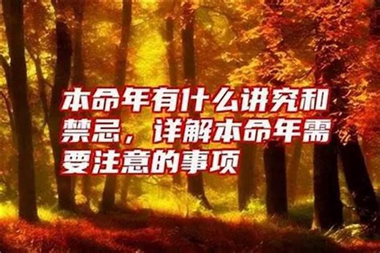 拜财神一般几点最好,拜财神有什么讲究