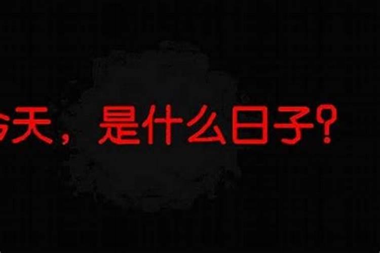 属猪和属兔的合不合财？