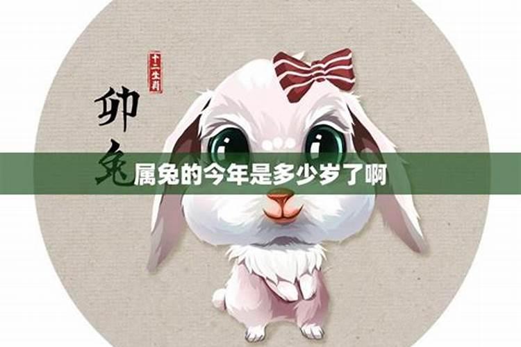 属龙男和属兔女合不合 属龙男和属兔女相配吗婚姻