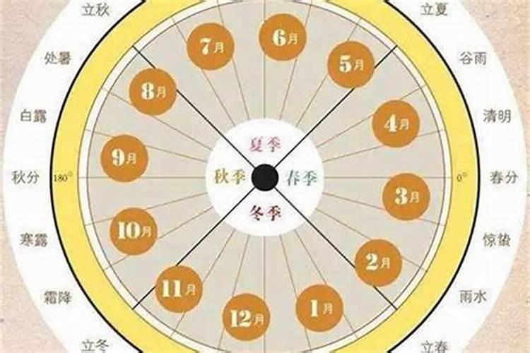 戊子日出生的人