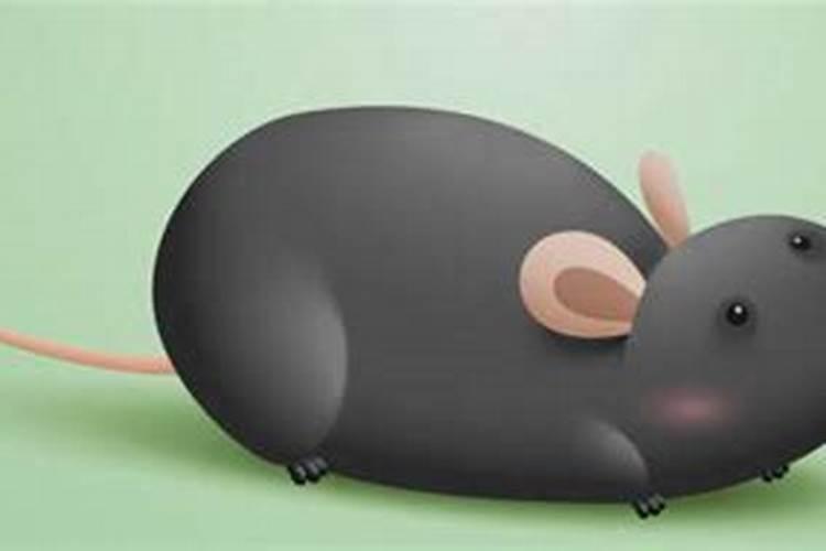 梦见被子上有很多老鼠屎有什么预兆？是什么意思？