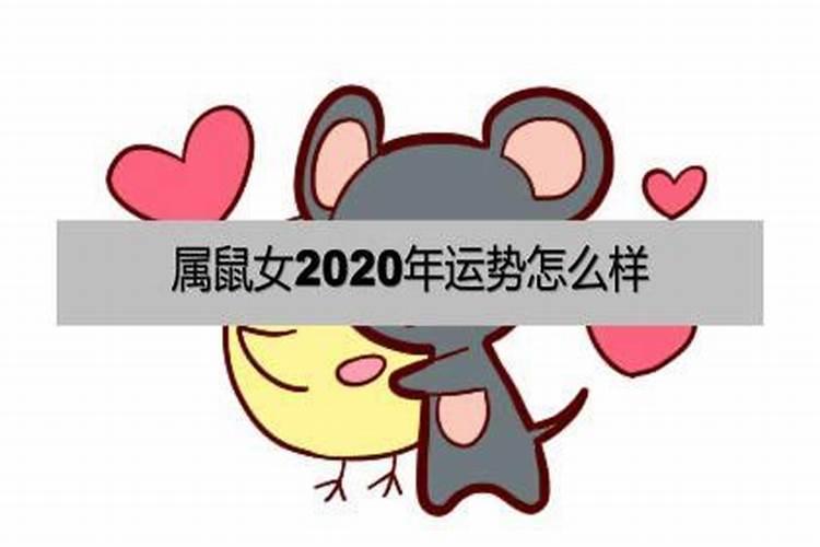 1984年属鼠女2025年全年运势如何