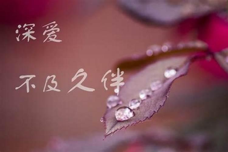 腊月二十三是吉日吗