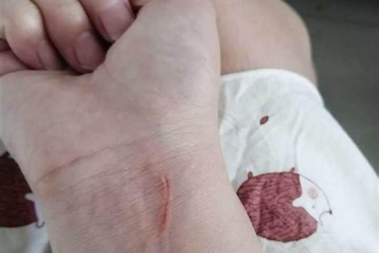 梦到猫往身上扑甩不掉 梦到猫往身上扑甩不掉还咬我