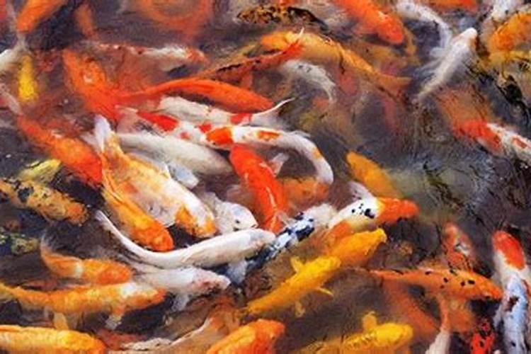 地下城结婚属性是什么