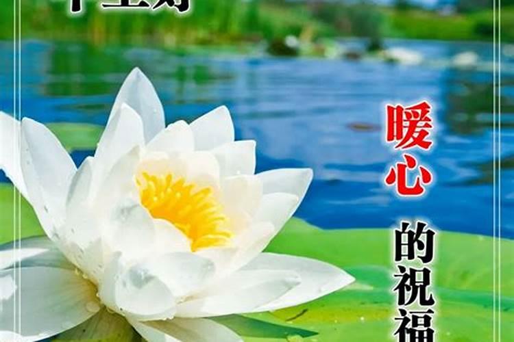 男人手相女字纹特点运势分析