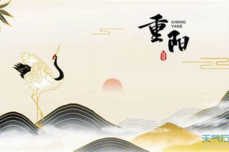 属猪2025年犯太岁怎么化解