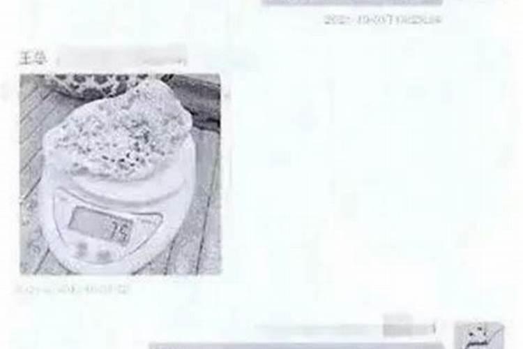 元宵节嘉兴有什么活动