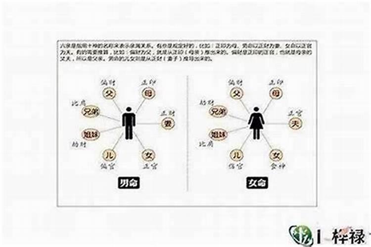 1983年属猪人2025年运势及运程