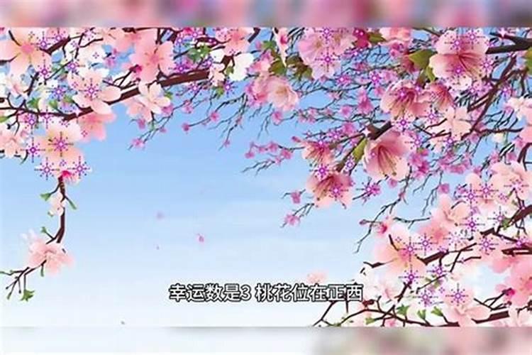 1998年属虎女本命年运势 属相虎女本命年禁忌？