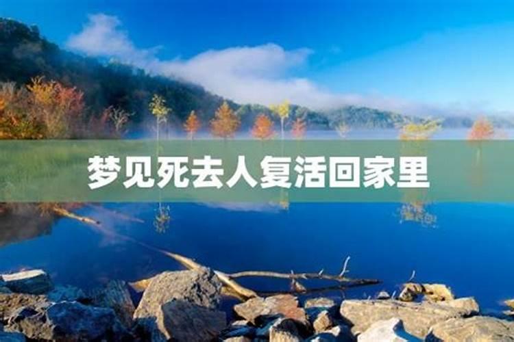 蛇和龙在一起对谁不利
