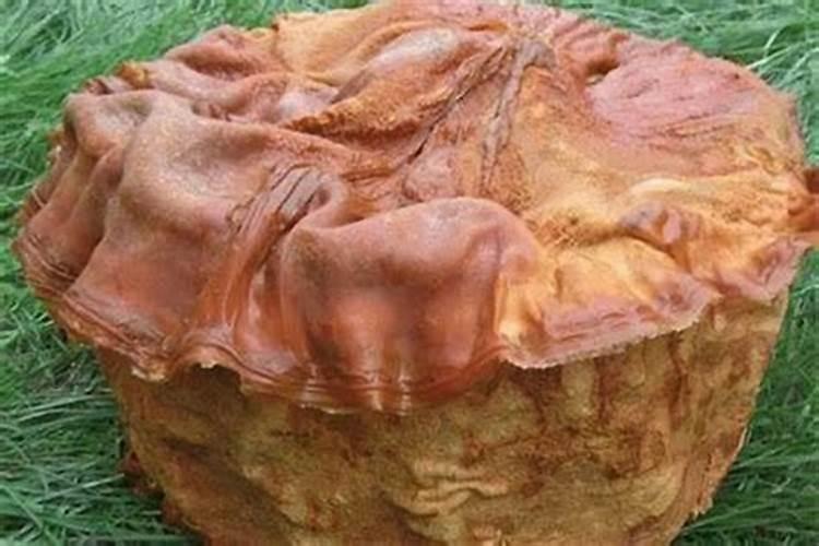 为什么都认为本命年是不顺利的一年？