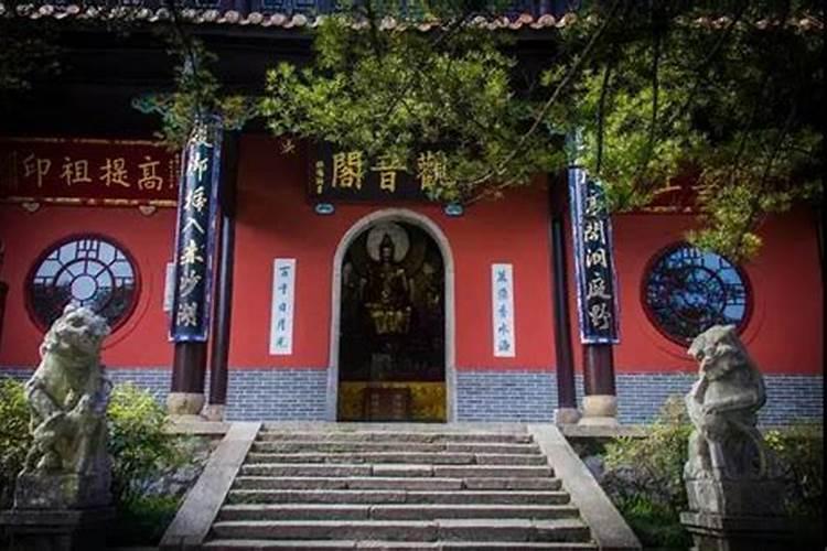 长沙哪有狗狗火葬