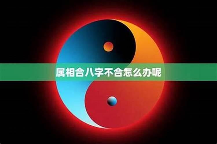 两个人合不合是看属相还是看八字八字合婚的注意事项？