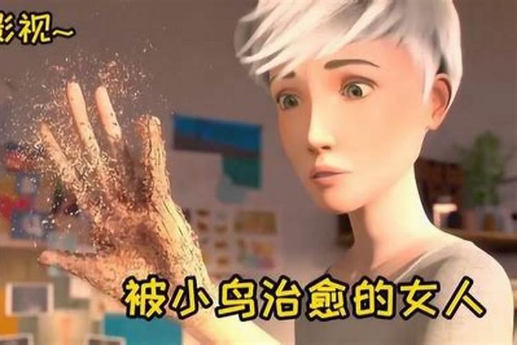 梦见红色的猫