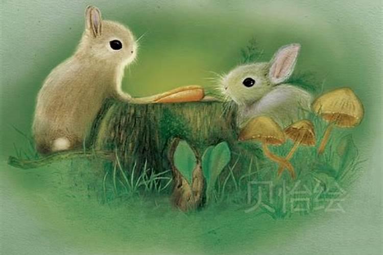 我现在的女朋友是结过婚的我很爱她,算命的说我们八字不合,我不想放弃...