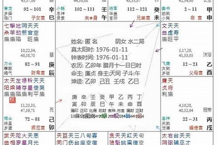 卧室东南方放什么盆栽最好