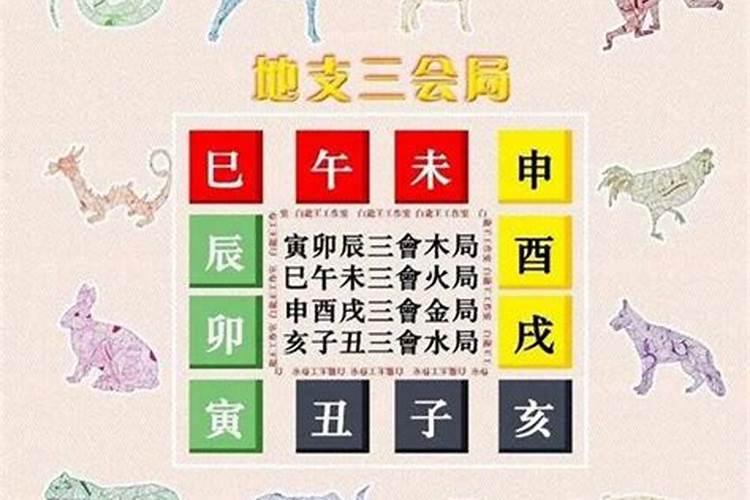 八字命理中三会局的含义是什么？