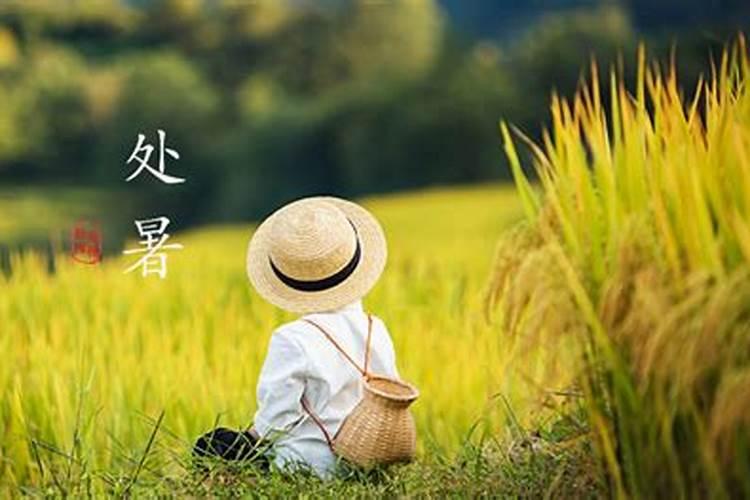 处暑为什么在立秋后面 处暑和立秋的区别