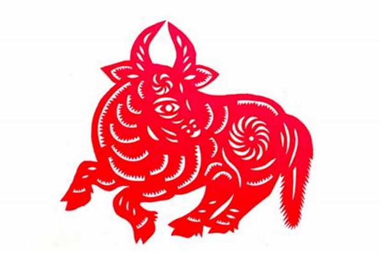 97属牛本命年的大忌 本命年的大忌属牛带什么