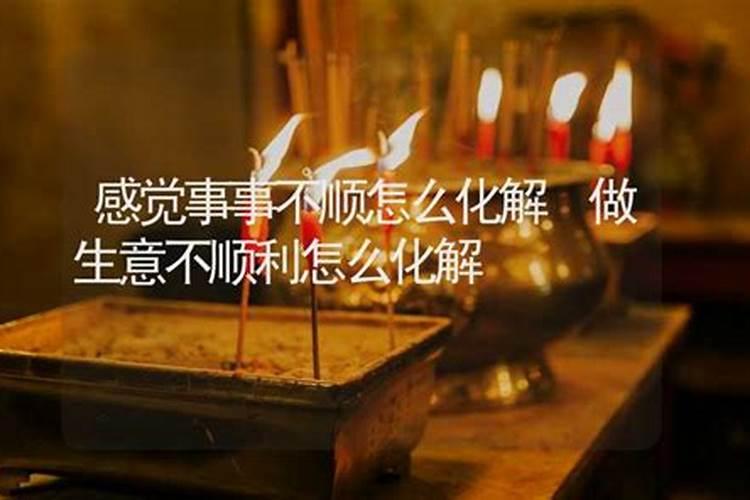 属狗一生命运如何 82属狗人的灾难年龄