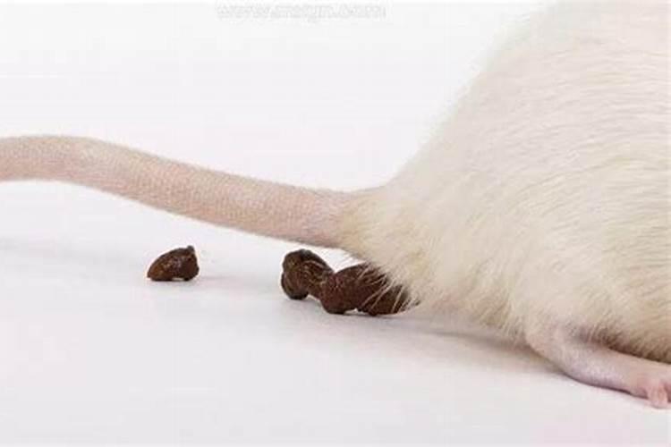 破解犯太岁的最好方法