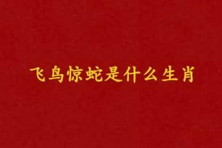 清明节应该吃什么干什么？