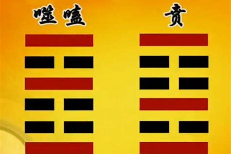 男狗配什么属相最好