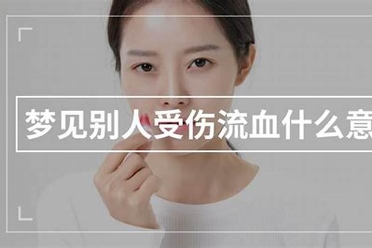 梦见把猫脑袋打掉了的预兆