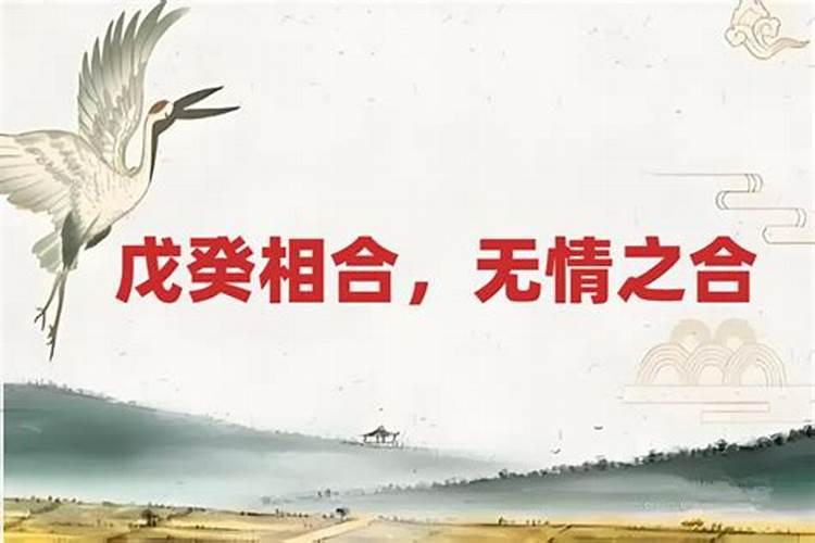八字中所说的癸戊无情之合什么意思啊？是结婚了也没有感情吗？